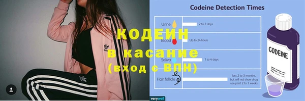 прущий лед Бородино
