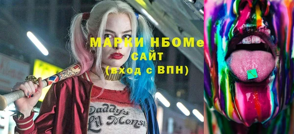 прущий лед Бородино