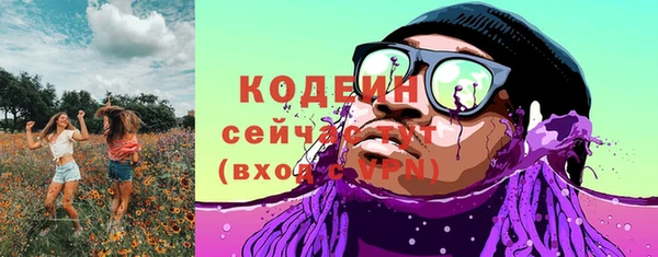 прущий лед Бородино