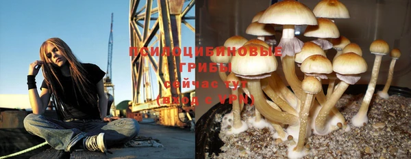 прущий лед Бородино