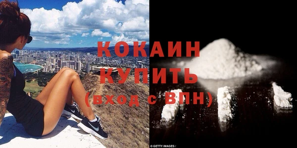 прущий лед Бородино
