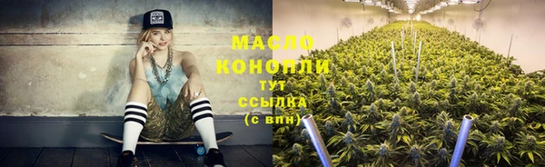 прущий лед Бородино